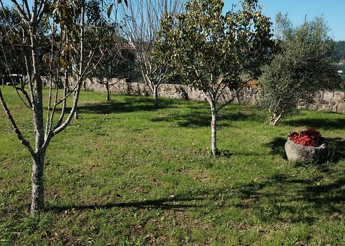 Casa Dos Zoqueiros Brion